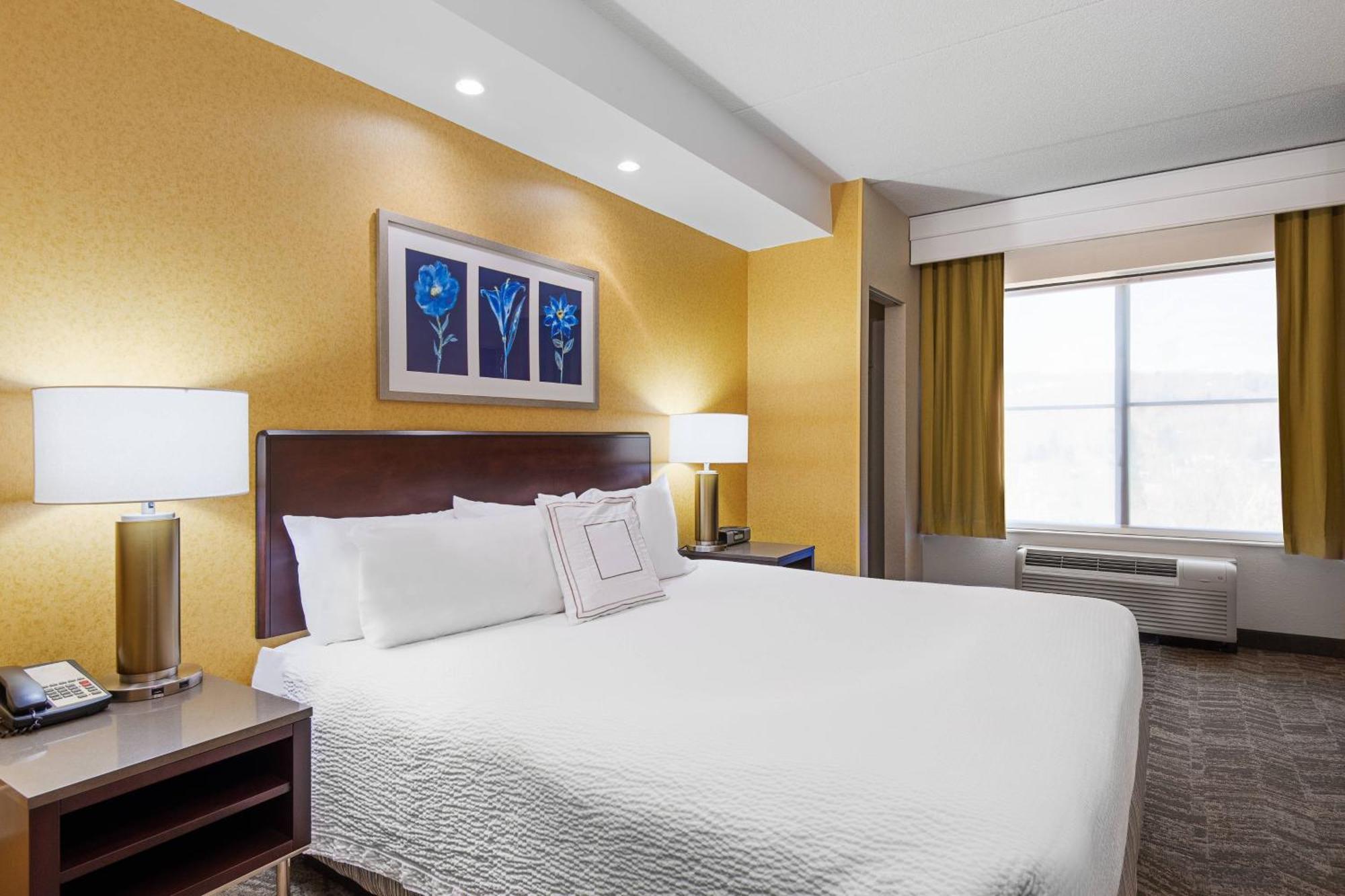 Springhill Suites By Marriott Wheeling Triadelphia Area Esterno foto